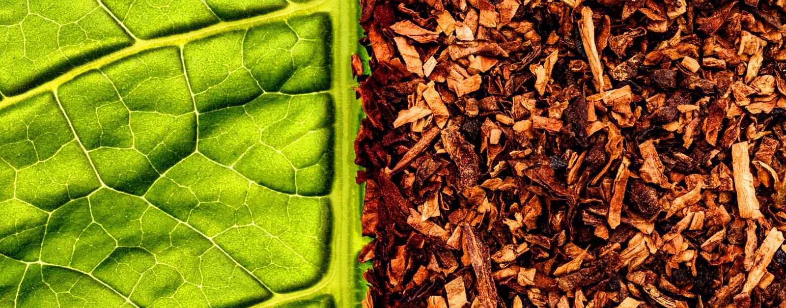 Asset gudang baru berkah